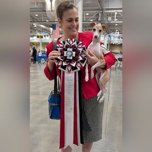 ISO dog show clothing